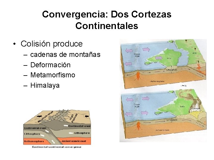 Convergencia: Dos Cortezas Continentales • Colisión produce – – cadenas de montañas Deformación Metamorfismo