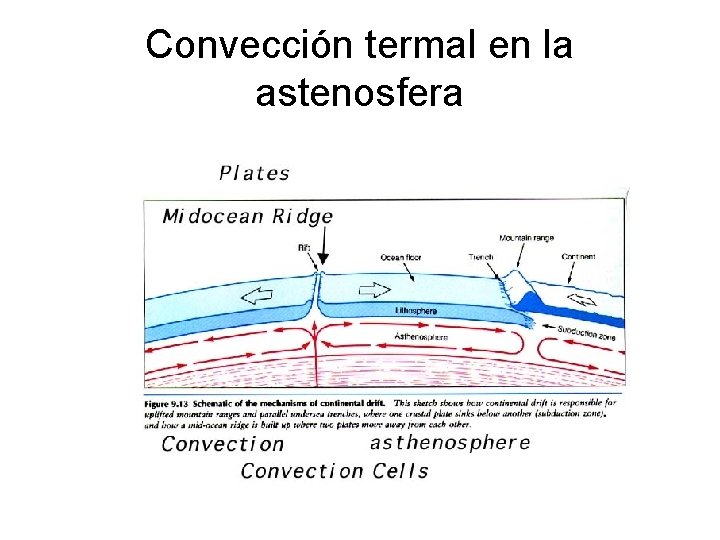 Convección termal en la astenosfera 