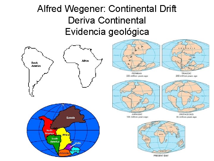 Alfred Wegener: Continental Drift Deriva Continental Evidencia geológica 
