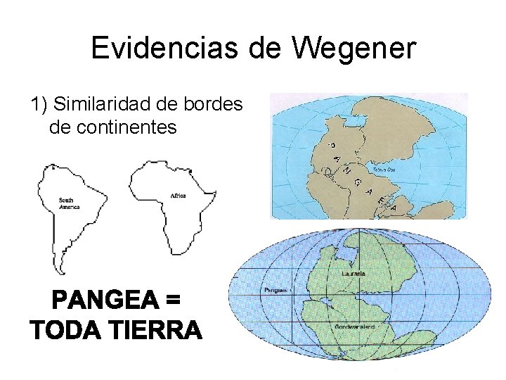 Evidencias de Wegener 1) Similaridad de bordes de continentes 