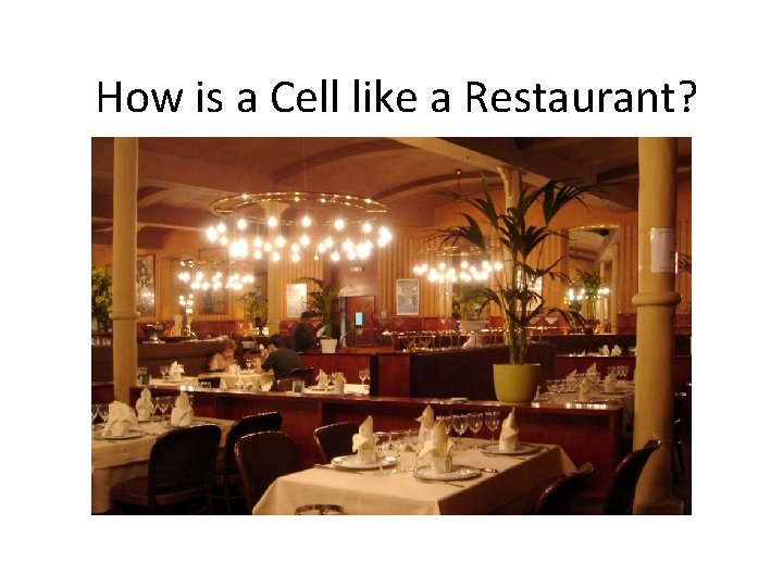 How is a Cell like a Restaurant? 