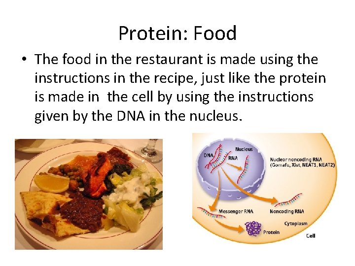 Protein: Food • The food in the restaurant is made using the instructions in