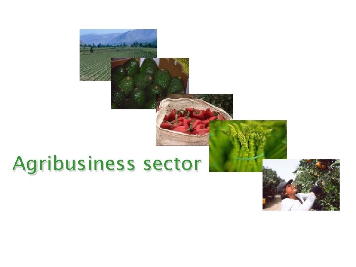 Agribusiness sector 