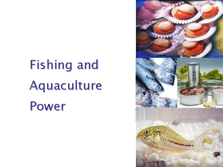 Fishing and Aquaculture Power 