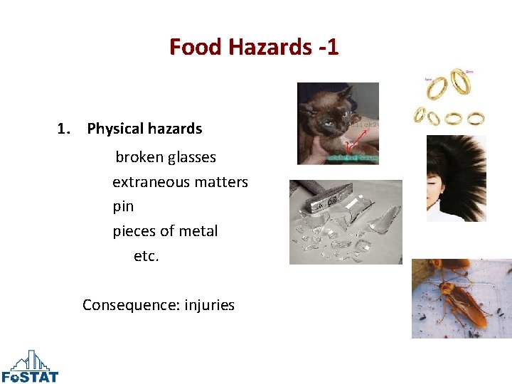 Food Hazards -1 1. Physical hazards broken glasses extraneous matters pin pieces of metal