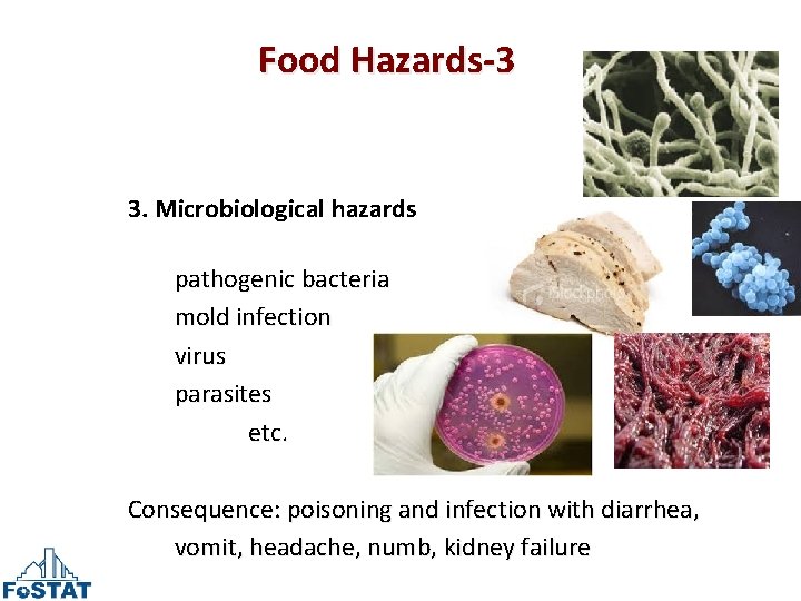 Food Hazards-3 3. Microbiological hazards pathogenic bacteria mold infection virus parasites etc. Consequence: poisoning