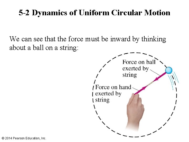 5 -2 Dynamics of Uniform Circular Motion We can see that the force must