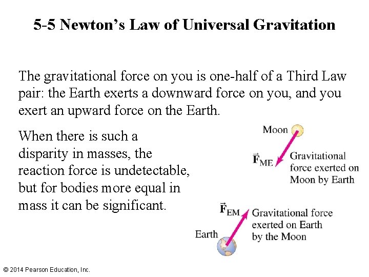 5 -5 Newton’s Law of Universal Gravitation The gravitational force on you is one-half