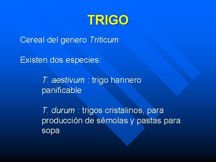 TRIGO Cereal del genero Triticum Existen dos especies: T. aestivum : trigo harinero panificable