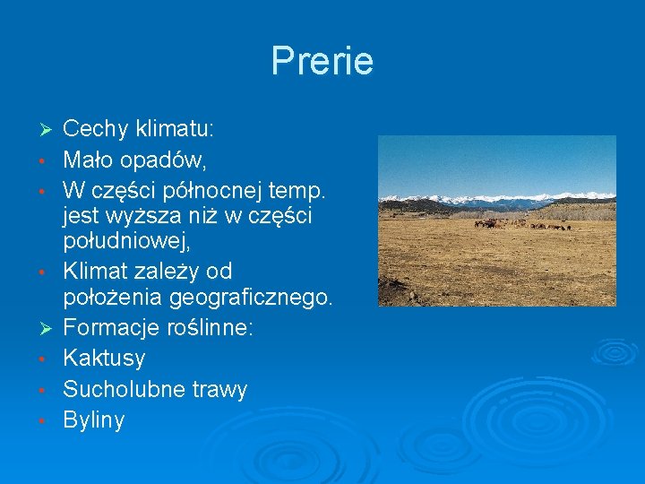 Prerie Ø • • • Cechy klimatu: Mało opadów, W części północnej temp. jest Prerie Ø • • • Cechy klimatu: Mało opadów, W części północnej temp. jest