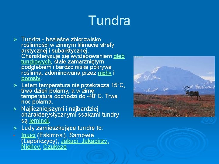 Tundra Ø Tundra - bezleśne zbiorowisko roślinności w zimnym klimacie strefy arktycznej i subarktycznej. Tundra Ø Tundra - bezleśne zbiorowisko roślinności w zimnym klimacie strefy arktycznej i subarktycznej.