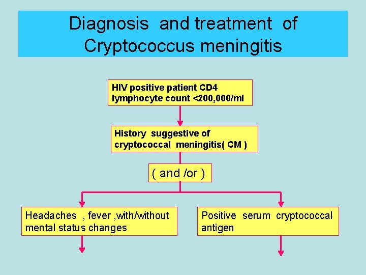 Diagnosis and treatment of Cryptococcus meningitis HIV positive patient CD 4 lymphocyte count <200,