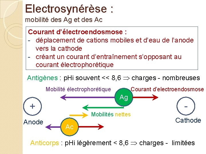 Electrosynérèse : mobilité des Ag et des Ac Courant d’électroendosmose : - déplacement de