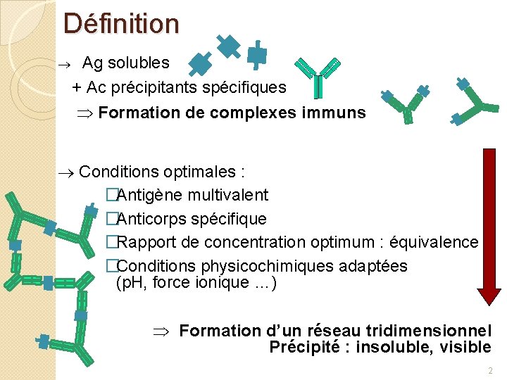 Définition Ag solubles + Ac précipitants spécifiques Formation de complexes immuns Conditions optimales :