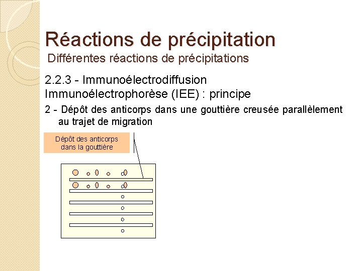Réactions de précipitation Différentes réactions de précipitations 2. 2. 3 - Immunoélectrodiffusion Immunoélectrophorèse (IEE)