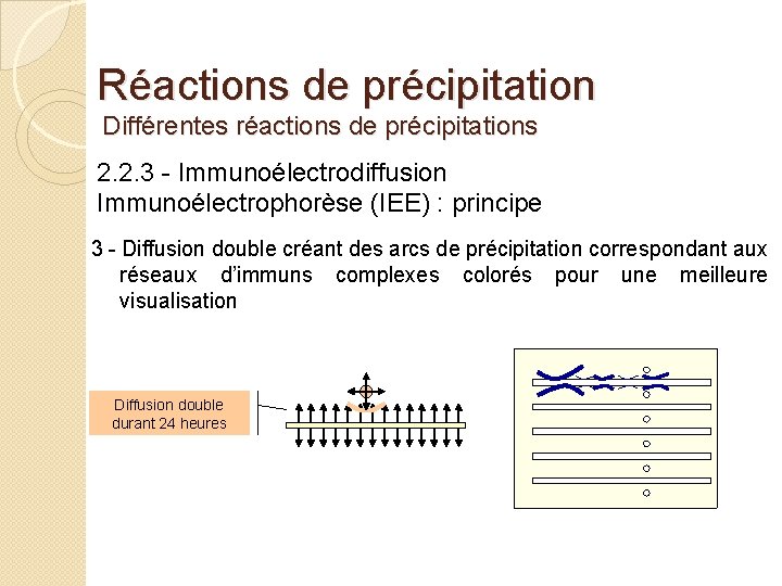 Réactions de précipitation Différentes réactions de précipitations 2. 2. 3 - Immunoélectrodiffusion Immunoélectrophorèse (IEE)