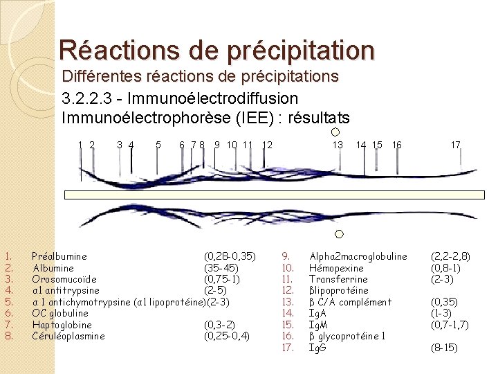 Réactions de précipitation Différentes réactions de précipitations 3. 2. 2. 3 - Immunoélectrodiffusion Immunoélectrophorèse