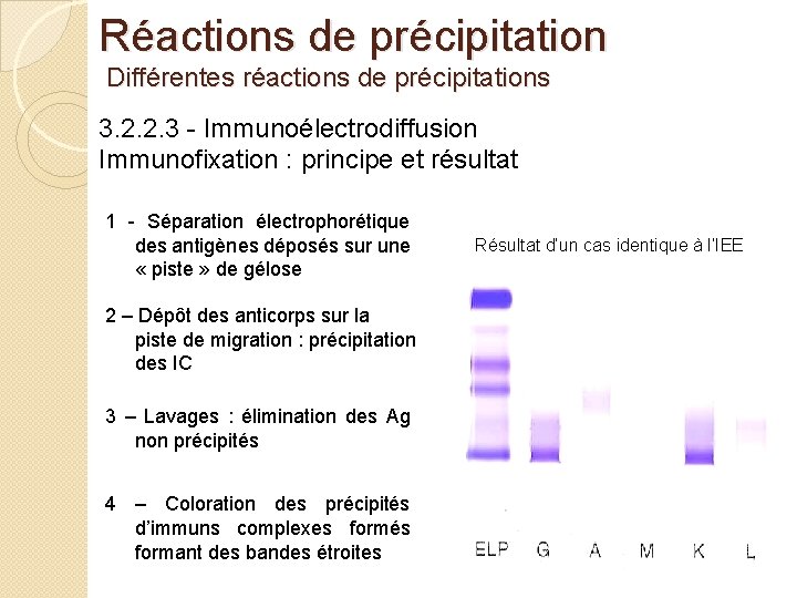 Réactions de précipitation Différentes réactions de précipitations 3. 2. 2. 3 - Immunoélectrodiffusion Immunofixation