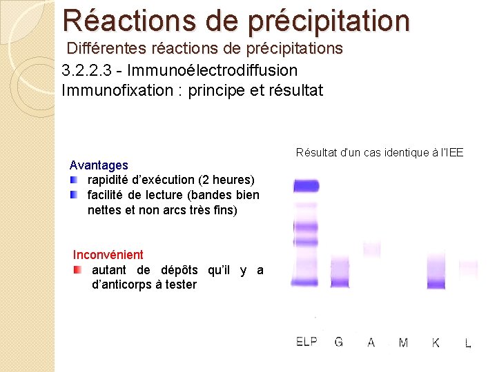 Réactions de précipitation Différentes réactions de précipitations 3. 2. 2. 3 - Immunoélectrodiffusion Immunofixation