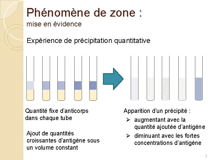 Phénomène de zone : mise en évidence Expérience de précipitation quantitative Quantité fixe d’anticorps