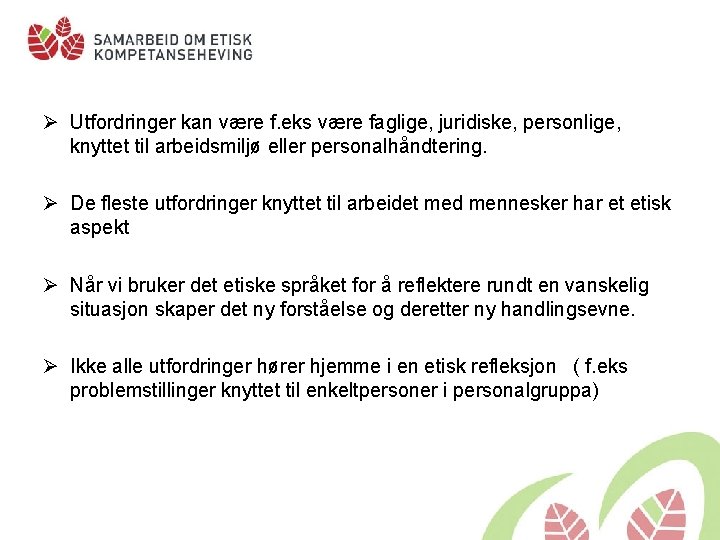 Ø Utfordringer kan være f. eks være faglige, juridiske, personlige, knyttet til arbeidsmiljø eller