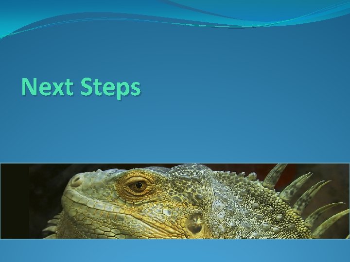 Next Steps 