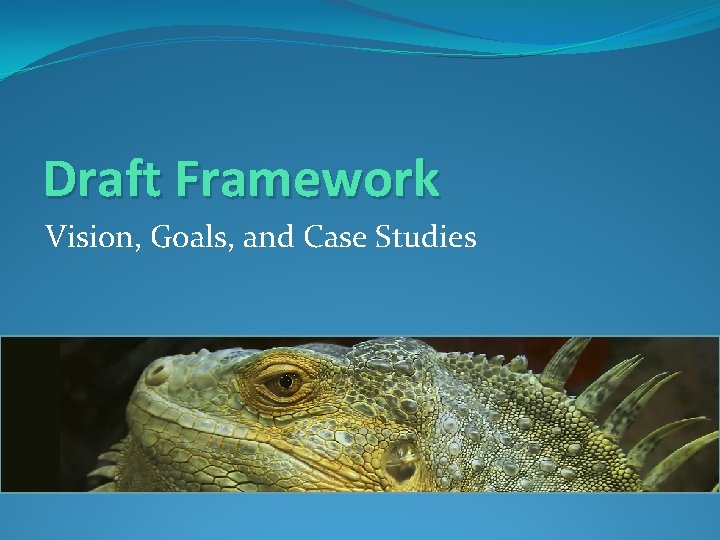 Draft Framework Vision, Goals, and Case Studies 