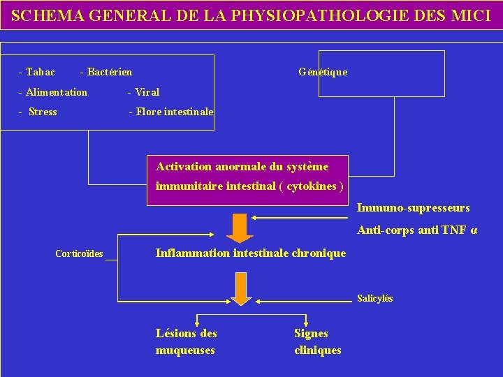 SCHEMA GENERAL DE LA PHYSIOPATHOLOGIE DES MICI - Tabac - Bactérien - Alimentation Génétique