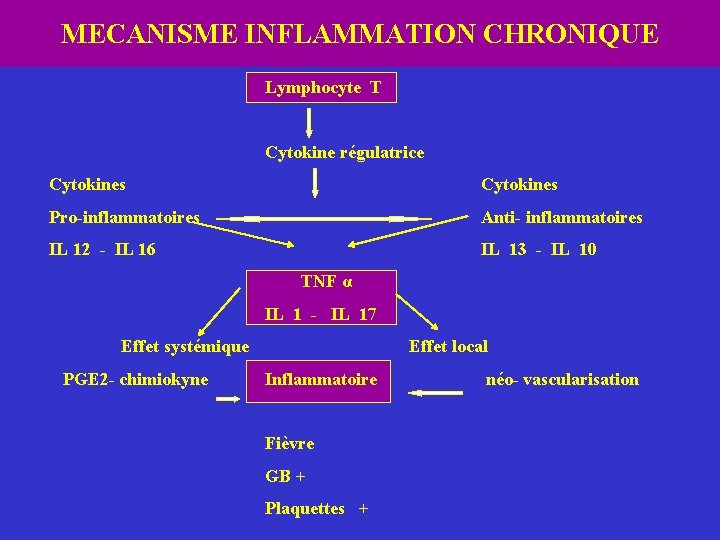 MECANISME INFLAMMATION CHRONIQUE Lymphocyte T Cytokine régulatrice Cytokines Pro-inflammatoires Anti- inflammatoires IL 12 -