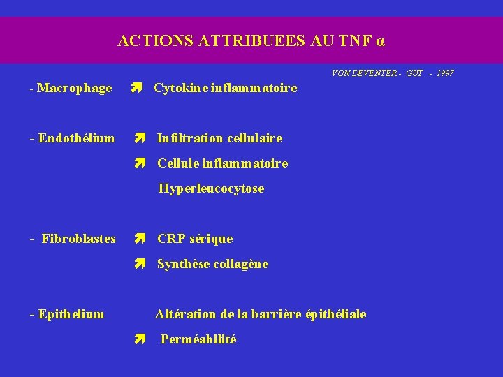 ACTIONS ATTRIBUEES AU TNF α VON DEVENTER - GUT - 1997 - Macrophage Cytokine