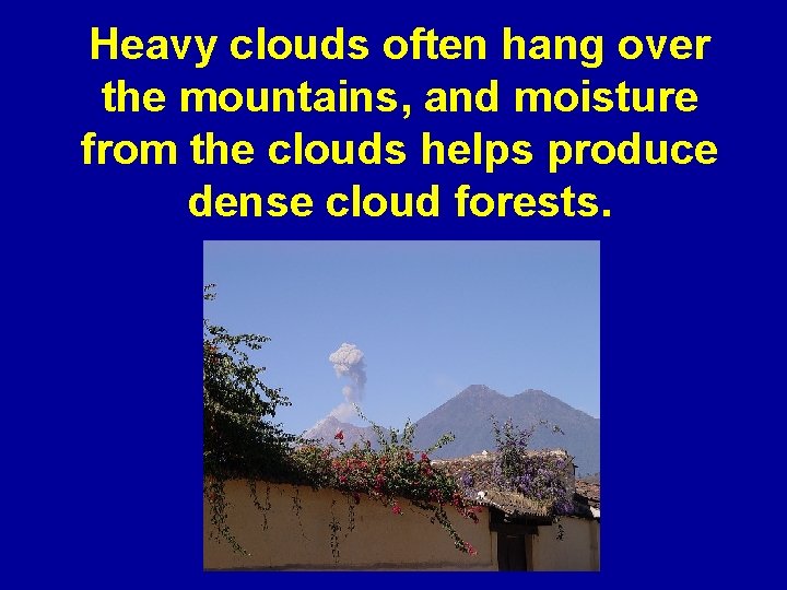 Heavy clouds often hang over the mountains, and moisture from the clouds helps produce