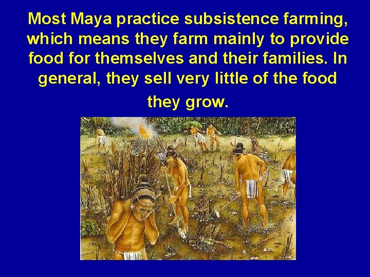 Most Maya practice subsistence farming, which means they farm mainly to provide food for