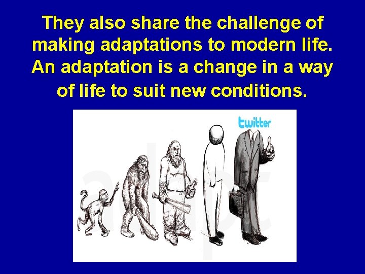They also share the challenge of making adaptations to modern life. An adaptation is