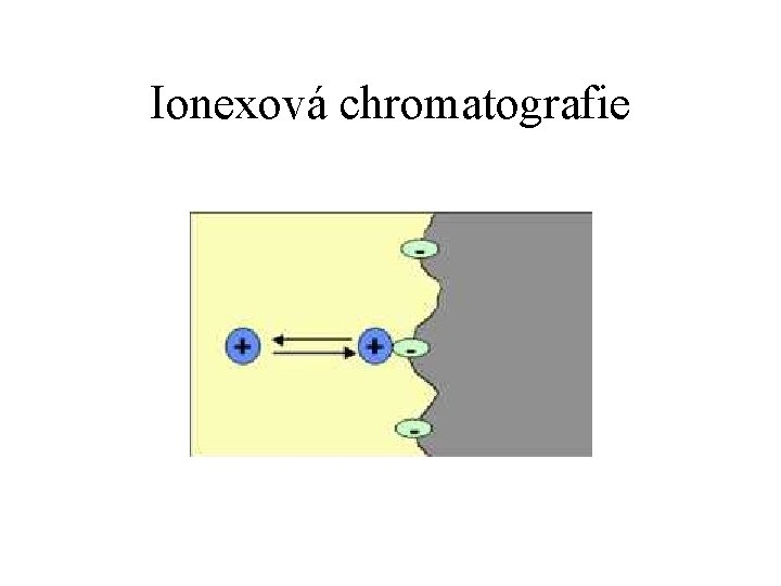 Ionexová chromatografie 