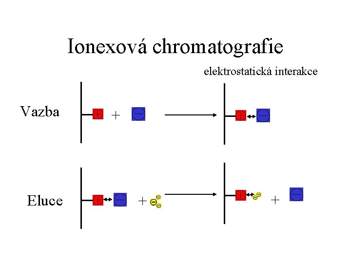 Ionexová chromatografie elektrostatická interakce Vazba Eluce + + + 