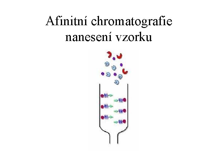 Afinitní chromatografie nanesení vzorku 
