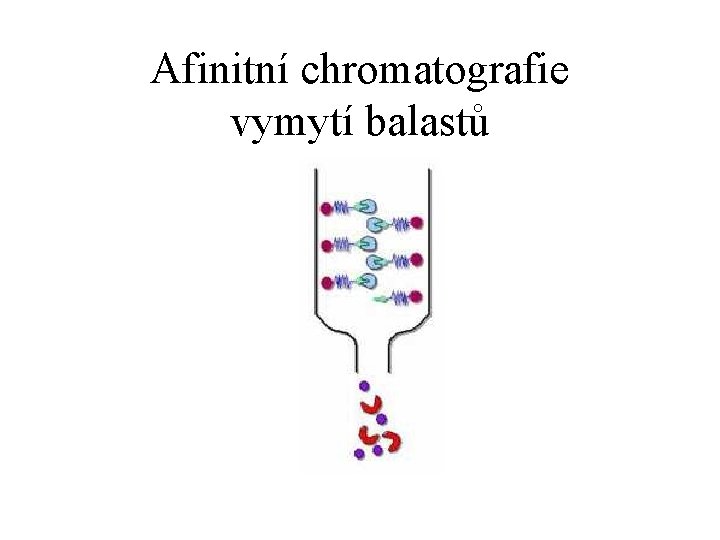 Afinitní chromatografie vymytí balastů 