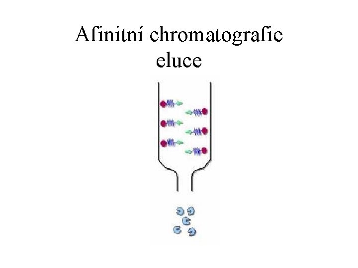 Afinitní chromatografie eluce 