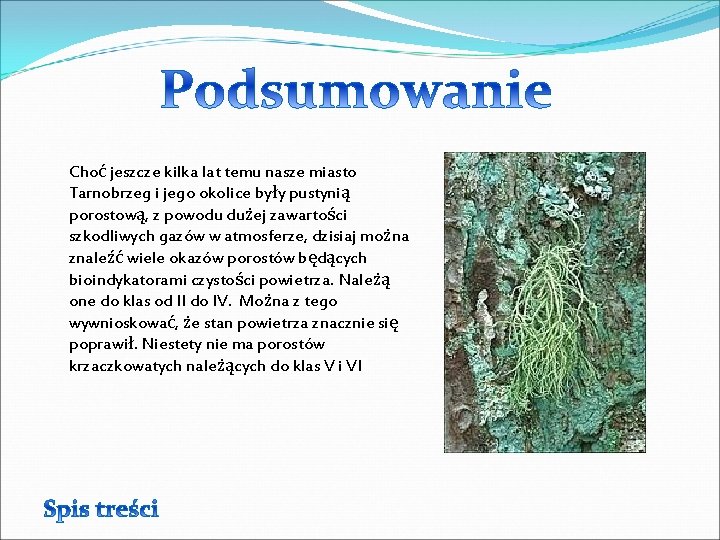 Choć jeszcze kilka lat temu nasze miasto Tarnobrzeg i jego okolice były pustynią porostową,