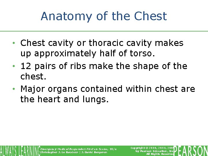 Anatomy of the Chest • Chest cavity or thoracic cavity makes up approximately half