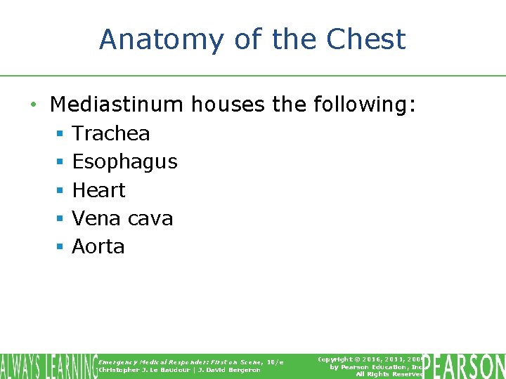 Anatomy of the Chest • Mediastinum houses the following: § § § Trachea Esophagus