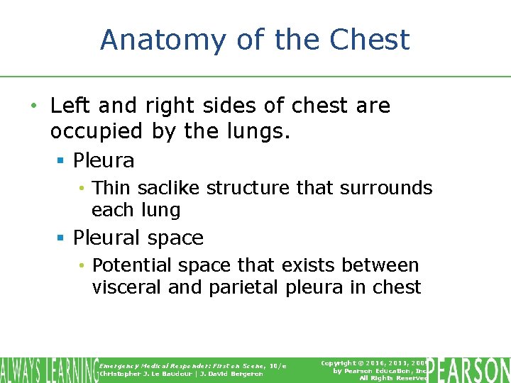 Anatomy of the Chest • Left and right sides of chest are occupied by