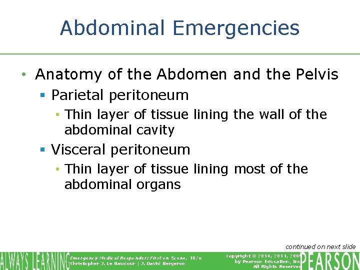 Abdominal Emergencies • Anatomy of the Abdomen and the Pelvis § Parietal peritoneum •