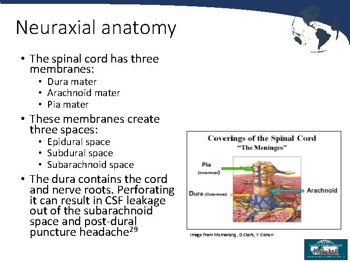 Neuraxial anatomy • The spinal cord has three membranes: • Dura mater • Arachnoid