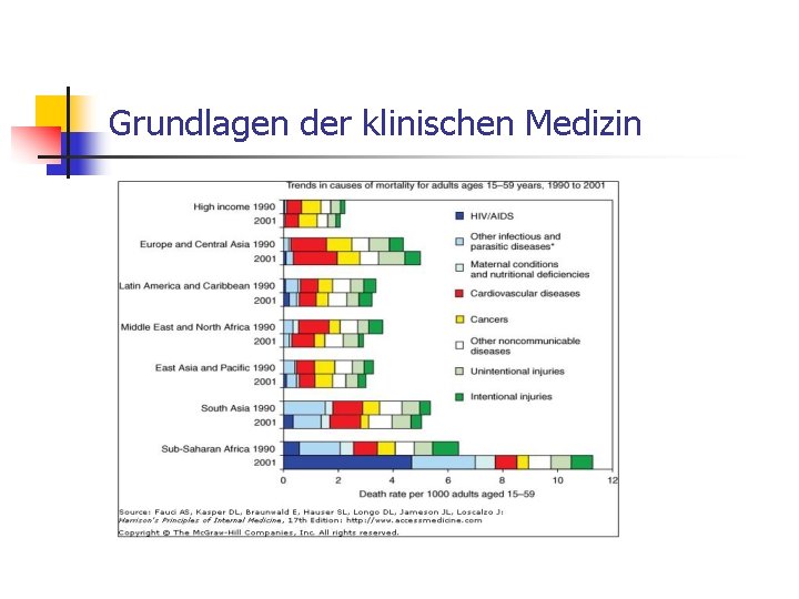 Grundlagen der klinischen Medizin 