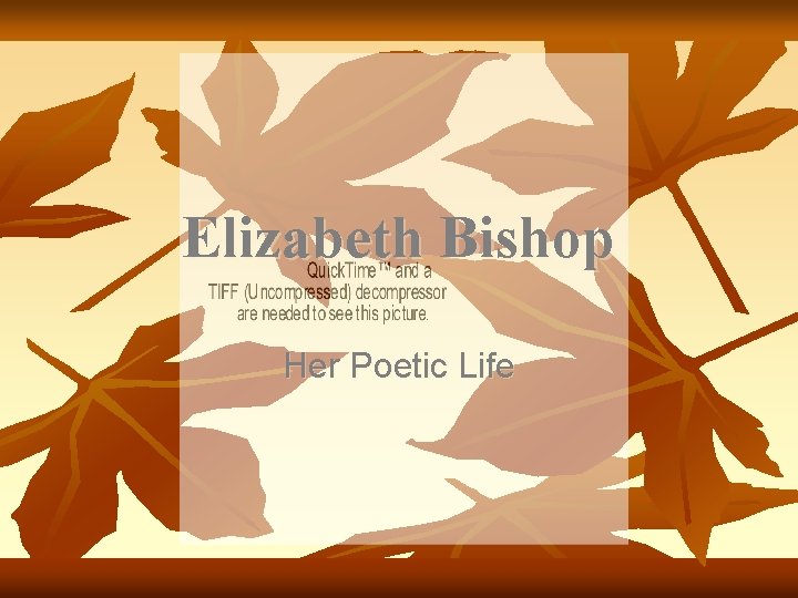 Elizabeth Bishop Her Poetic Life 