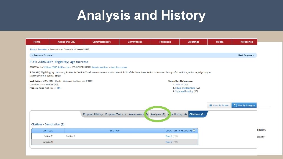 Analysis and History 
