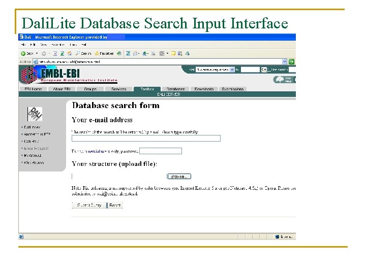 Dali. Lite Database Search Input Interface 