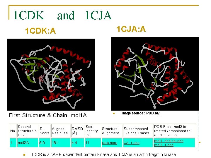 1 CDK and 1 CJA: A 1 CDK: A n n Image source :
