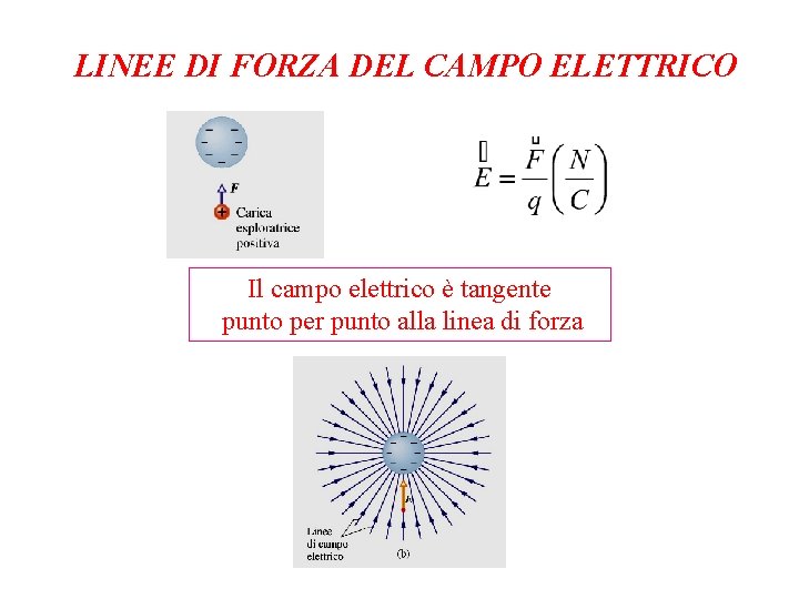 LINEE DI FORZA DEL CAMPO ELETTRICO Il campo elettrico è tangente punto per punto